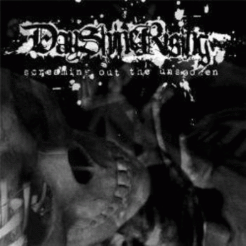 DayShineRising : Screaming Out the Unspoken